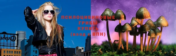 гидра Шарыпово