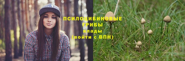 spice Гусь-Хрустальный